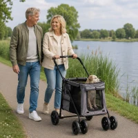 PawHut Opvouwbare Hondenbuggy voor Kleine en Middelgrote Oudere Honden tot 20 kg Grijs(m-9)