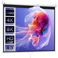 HOMCOM Beamer Leinwand 244 x 183 cm 120 Zoll 4:3/ 16:9 Projektionsleinwand Manuell für Heimkino(m-1)