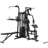 SPORTNOW Multifunctionele trainingsstation, thuissportapparaat voor meer dan 10 oefeningen, gewichten, verstelbare fitnessbank, zwart(m-1)