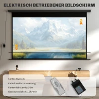 HOMCOM Beamer-Leinwand, 16:9 Format, Fernbedienung, 266 x 149 cm (120 Zoll), Schwarz(m-4)