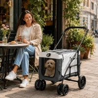 PawHut 2-in-1 Hondenbuggy met Afneembare Draagmand voor Honden en Katten tot 10 kg, Grijs(m-9)