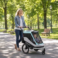 AIYAPLAY 2 in 1 Fahrradanhänger & Buggy Faltbar Kinderfahrradanhänger mit 5-Punkt Gurt Reflektoren 16-Zoll-Luftreifen Bremse(m-9)