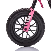 AIYAPLAY Moto elétrica infantil moto cross para crianças de 3 a 6 anos 2 motores 12V velocidade 5 km/h 109,5x60x72,5cm rosa(m-8)