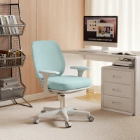 Vinsetto 44-56cm Mesh Back Office Chair - Light Green(m-10)