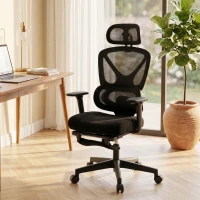 HOMCOM Mesh Desk Chair with 3D Armrests, Ergonomic Office Chair with Rotatable Headrest, Black(m-9)