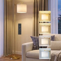 HOMCOM LED Floor Lamp with Remote Control - Gold Tone(m-2)