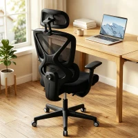 HOMCOM Mesh Desk Chair with 3D Armrests, Ergonomic Office Chair with Rotatable Headrest, Black(m-14)