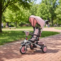 AIYAPLAY Kinderdreirad, 6-in-1 Buggy für Kleinkinder, mit Schiebegriff, verstellbarer Sitz, faltbares Design, Sicherheitsnetz(m-8)