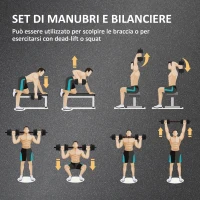 HOMCOM Set 2 Manubri Antiscivolo con 12 Dischi Pesi da 20 kg totali e Connettore, in Acciaio, HDPE e Sabbia, Nero(m-4)