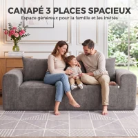 HOMCOM Canapé 3 Places en Chenille 220 cm, Canapé Salon Moderne avec Assise et Accoudoirs Larges, 3 Coussins, Gris(m-4)