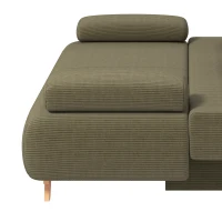 HOMCOM Slaapbank met verstelbare rugleuning, bedfunctie, verborgen opbergruimte en cordbekleding, donkergroen(m-12)