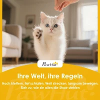 PawHut Kattenkooi voor binnen 105 cm, stalen kattenren met 3 deuren, modulair DIY-ontwerp voor kittens tot 4 kg(m-9)