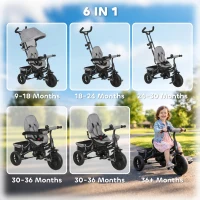 HOMCOM 6 in 1 Kids Trike Push Bike w/ Push Handle, Canopy, 5-point Seat Belt, Storage, Footrest, Brake, for 1-5 Years, Grey(m-4)