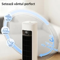 HOMCOM răcitor pentru încăperi(m-6)