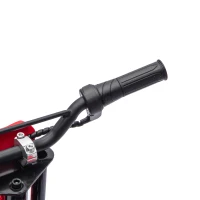 AIYAPLAY Moto Elétrica Infantil com Licença HONDA 12 V, Velocidade 3-6 km/h, Carro Elétrico Infantil 3+ anos, Vermelho e Azul(m-8)