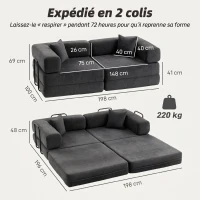 HOMCOM Canapé Convertible 2 Places, Canapé-Lit en Chenille 198 cm, Assise et Accoudoirs Larges, 2 Coussins, Gris Foncé(m-3)