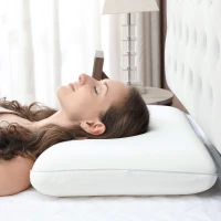 HOMCOM Cuscino Memory Foam a Rimbalzo Rapido con Copertura Rimovibile e Lavabile, 60x40x10 cm, Bianco Crema(m-10)