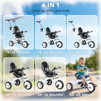 HOMCOM 6 in 1 Tricycle for Kids with 5-point harness straps, Removable Canopy, White(m-4)