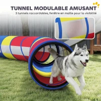 PawHut Équipement d'Agilité pour Chien 12 Pièces, 4 Tunnels, Sauts Ajustables, Anneau, Slaloms, 357x65x68cm, Multicolore(m-5)