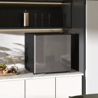 HOMCOM Réfrigérateur congélateur 46 L, petit réfrigérateur combiné avec portes réversibles, 48 x 44 x 49 cm, argenté(m-2)