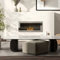 HOMCOM Camino Bioetanolo in Acciaio Inox, 2.5h di Combustione con Serbatoio 1.5L e Copertura 20m², 90x16x40 cm, Argento(m-2)
