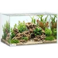 PawHut Aquarium 43L en Verre Trempé avec Tapis de Protection Pour Poissons, Crevettes, Tortues, 50 x 30 x 30 cm, Transparent(m-18)