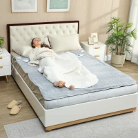 HOMCOM Heated Electric Blanket, Warm Throw Blanket with 5 Heating Levels, 10 Hour Auto-Off Timer, Grey(m-10)