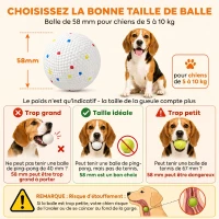 PawHut Lanciatore Automatico di Palline per Cani di Piccola e Media Taglia con 3 Palline, 3 Distanze Regolabili, Verde(m-8)
