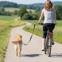 PawHut Laisse de Vélo pour Chien 180 cm en Inox , Fixation Rapide, Ressort Amortisseur, Sangle Ajustable, Argent(m-2)