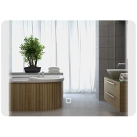 HOMCOM Oglindă pentru baie cu lumină LED reglabilă în 3 temperaturi, întrerupător tactil și sistem anti-aburire, 70x50 cm(m-11)