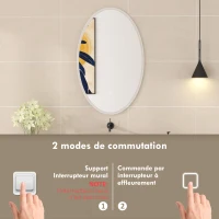 HOMCOM Miroir salle de bain avec éclairage 80 x 50 cm, miroir LED ovale, anti-buée, 3 couleurs lumière, dimmable, transparent(m-8)