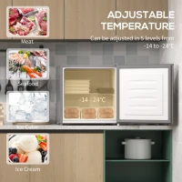 HOMCOM 35L Mini Freezer, -24℃ to -14℃ Temperature - Grey(m-4)