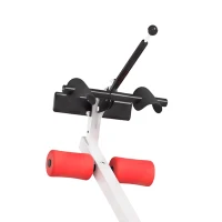 SPORTNOW Tabla de Inversión Plegable con Ángulos 20°/40°/60° y 0-90° 13 Ajustes para 130-190 cm Soporte Lumbar Cinturón(m-11)