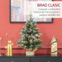 HOMCOM Mini brad de Crăciun 60 cm cu lumini integrate, 86 ramuri, conuri de pin, bobițe roșii, bază din ciment, verde(m-4)
