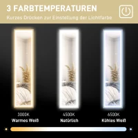 HOMCOM LED full-length spiegel, 40 x 160 cm, touch-bediening, dimbaar, 3 kleuren, Grijs(m-6)