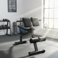 SPORTNOW Banc de Musculation Pliable avec Hauteur et Inclinaison Réglables pour Entraînement Dos Bras, 96,6x68x69-110cm, Noir(m-2)