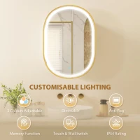 HOMCOM Armario de Baño con Espejo y Luces LED de 3 Colores Armario de Pared Ovalado con Función Memoria y Antivaho Dorado(m-9)