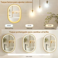 HOMCOM Armario de Baño con Espejo y Luces LED de 3 Colores Armario de Pared Ovalado con Función Memoria y Antivaho Dorado(m-5)