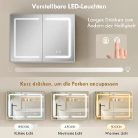 HOMCOM Spiegelkast voor de badkamer met LED-verlichting, 60 x 80 cm badkamerkast met anti-condens, 3-voudig dimbaar(m-5)