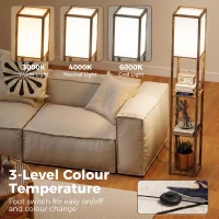 HOMCOM Floor Lamp with Shelves, 4 Layer Standing Lamp with USB Ports, 3 Colour Temperature, Rustic Brown(m-5)