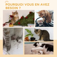 PawHut Roue de course pour chat d'intérieur tapis roulant avec frein coussins de grattage diamètre 91 cm naturel(m-9)
