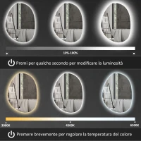HOMCOM Specchio da Bagno Illuminato a LED con Colore e Temperatura Regolabile, in Vetro Temperato, 80x5x60 cm, Argento(m-4)