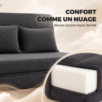 HOMCOM Canapé-Lit Pliant, Chauffeuse 2 Places Convertible Velours Côtelé, Dossier Réglable, Assise Large, 2 Oreillers, Gris(m-6)