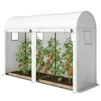 Outsunny Serra Tunnel da Giardino per Piante e Orto, Serra da Balcone con 2 Porte Avvolgibili e 4 Finestre, 3x1x2m(m-11)