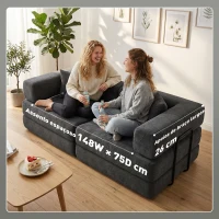 HOMCOM Sofá Cama de 2 Lugares Dobrável Estofado em Chenilla com 2 Almofadas Braços Largos Acolchoamento Grosso  Cinzento Escuro(m-6)