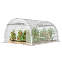 Outsunny Seră de Grădină Tip Tunel 3x4x2 m cu 2 Uși Rulabile, Seră pentru Legume cu 4 Întăriri Diagonale, Cadru din Oțel și Acoperiș PE, pentru Legume, Flori, Fructe, Anti-UV, Transparent(m-12)