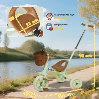 AIYAPLAY 2-In-1 Toddler Trike for 2-5 Years Old, 3 Wheel Bike with Adjustable Parent Handle, Basket for Boys and Girls, Green(m-3)