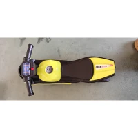 AIYAPLAY Draisienne pour Enfant, Vélo d'Équilibre avec Musique et Roues Extra-Larges, pour Filles et Garçons 18-36 Mois, Vert(m-3)