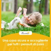 PawHut Conigliera da Esterno in Legno di Pino con Vassoio Estraibile, Tetto Apribile e Porta con Serratura, Grigio(m-9)