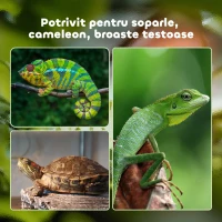 Pawhut Terariu din Sticla 60×40×40,5 cm – Pentru testoase & Reptile(m-7)